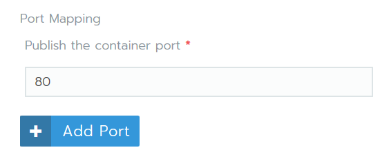 Publish the container port