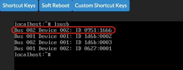 usb in vm