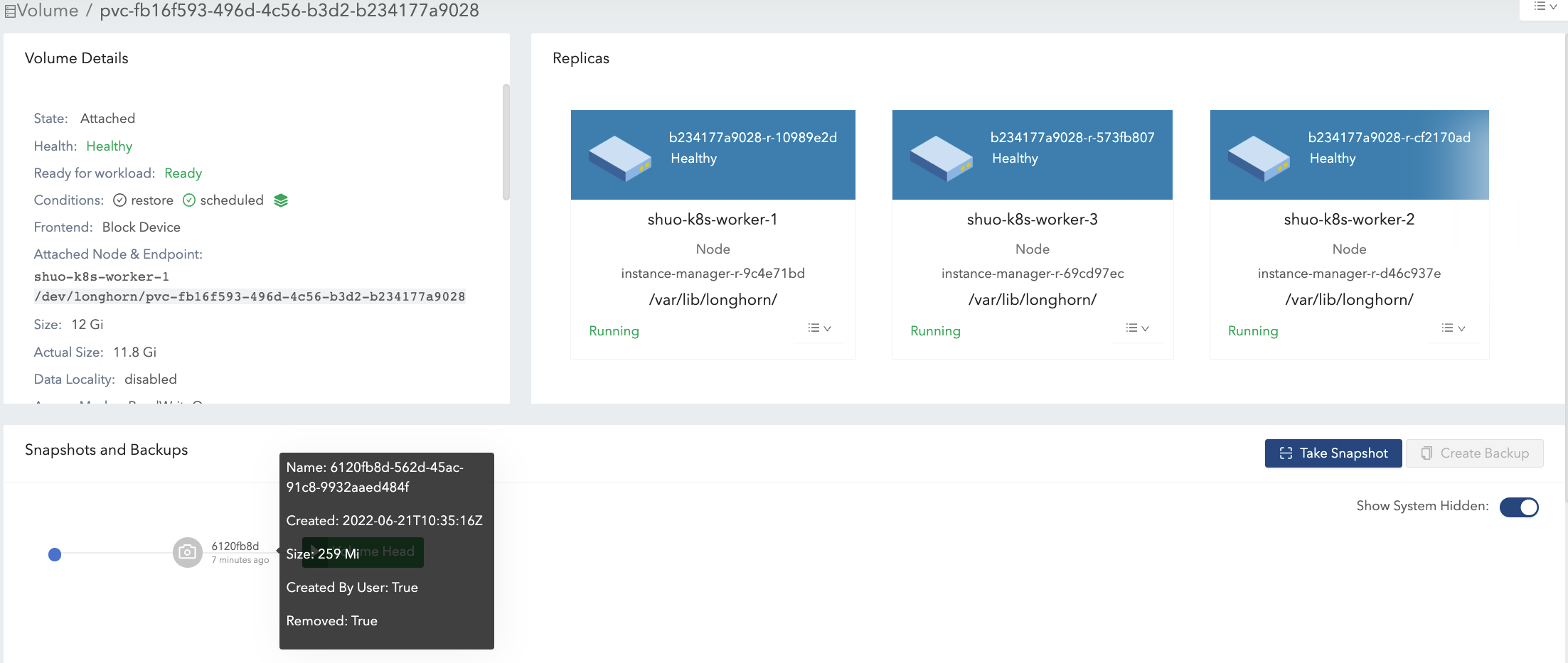 Bild