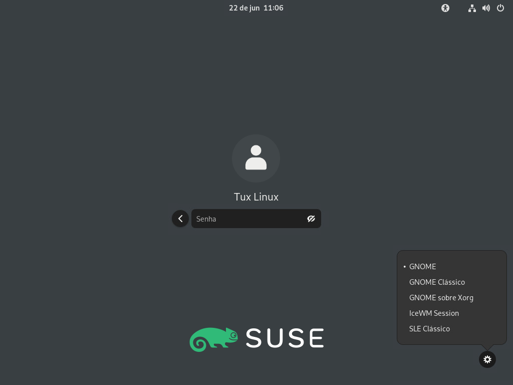 Tela de login padrão do GNOME — tipo de sessão