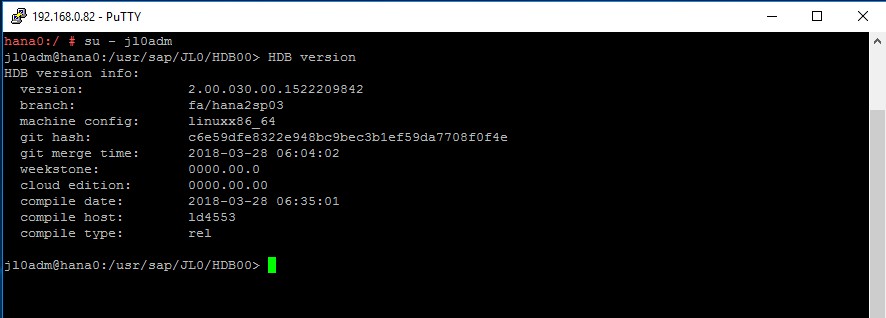 HANAVersion HANAVersion