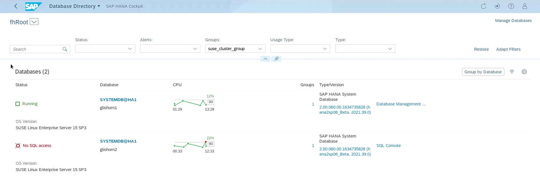 saphana cockpit01 saphana cockpit01