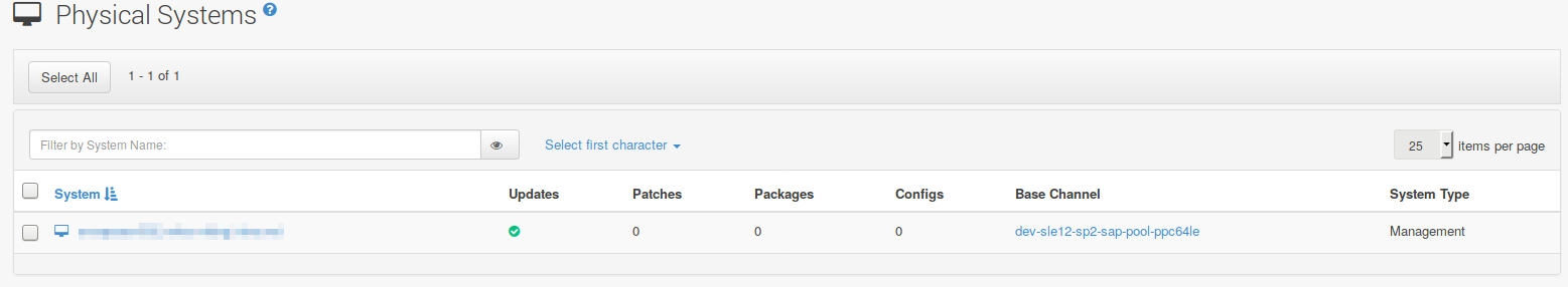 SUSE Manager Web UI - List of Physical Systems SUSE Manager Web UI - List of Physical Systems