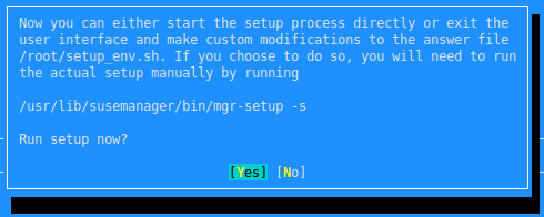 YaST Installation - Setup Process Confirmation YaST Installation - Setup Process Confirmation