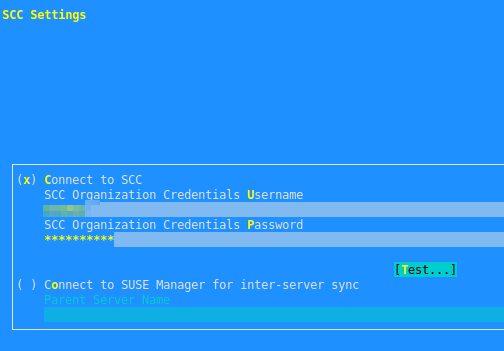 YaST Installation - SCC Settings YaST Installation - SCC Settings