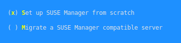 YaST Installation - Setting up SUSE Manager YaST Installation - Setting up SUSE Manager
