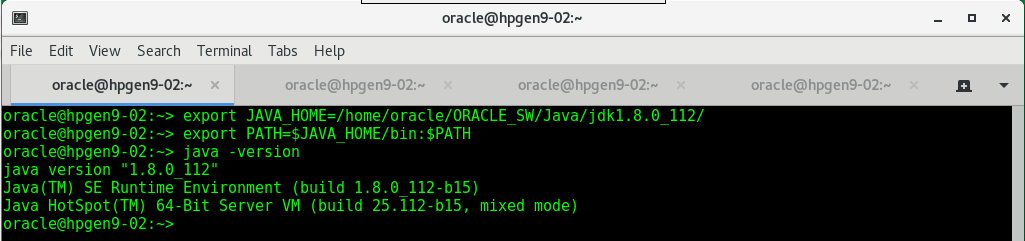 Java Information Java Information