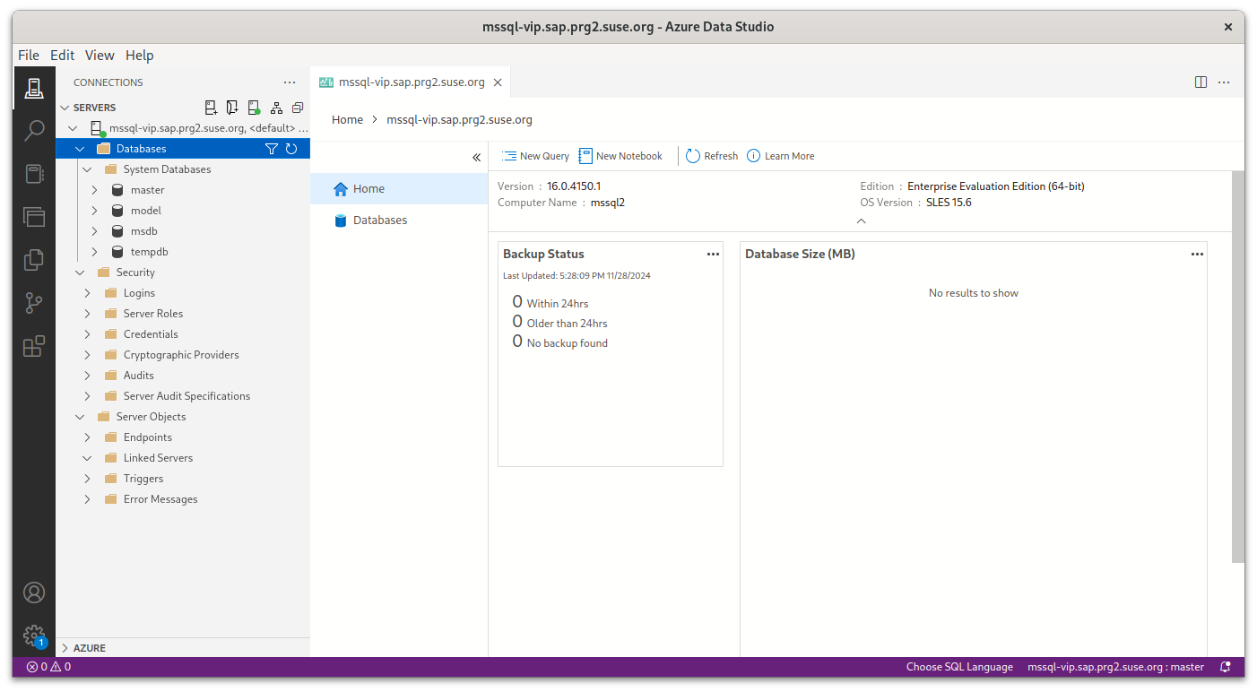 Azure Data Studio with a connected system Azure Data Studio with a connected system