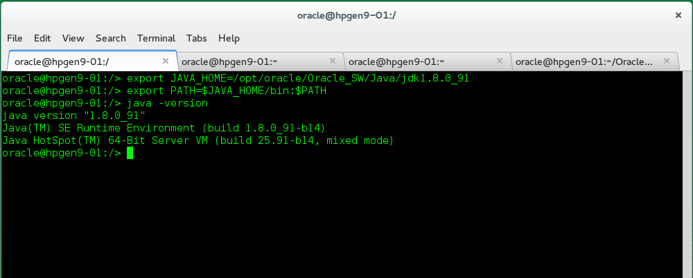 Java Information Java Information