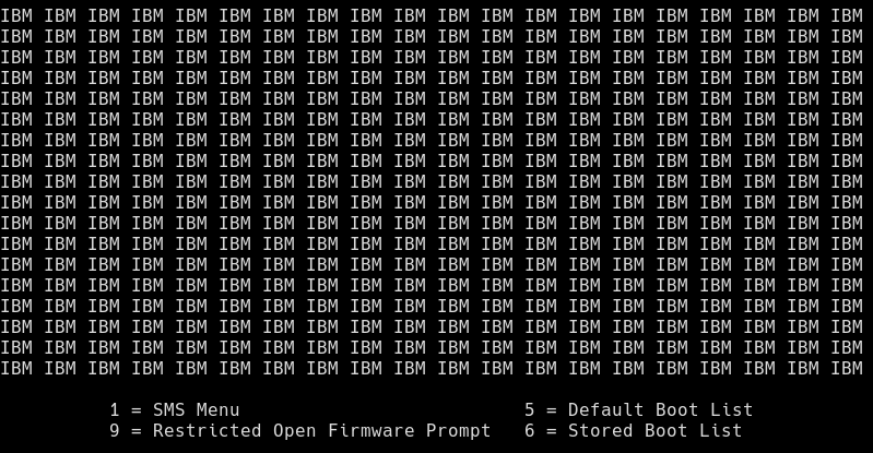 color blocks in the terminal after booting iso / Installation