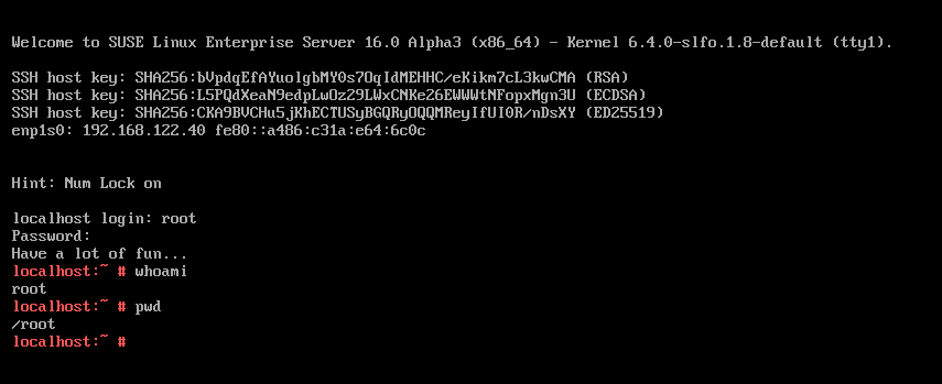 Run basic commands Run basic commands